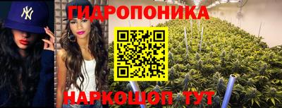 ALPHA-PVP Дмитров