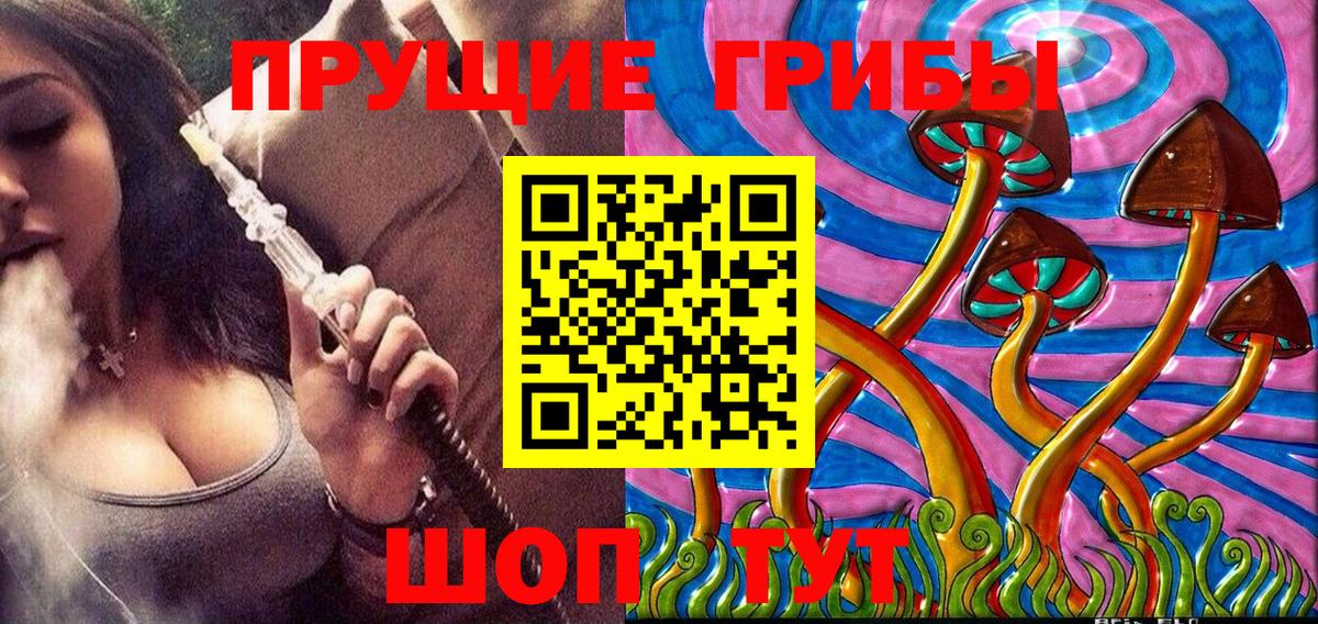 Ногинск  Псилоцибиновые грибы Magic Shrooms  Вход с VPN 