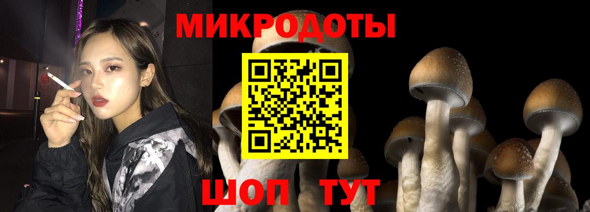 Галлюциногенные грибы мицелий Ногинск